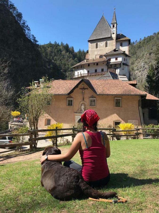 Casa Streberi Διαμέρισμα Castelfondo Εξωτερικό φωτογραφία